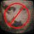 :iconkarl-haushofer: