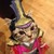 :iconkarl117: