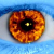 :iconkarla-jane: