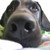 :iconkarlizee: