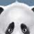:iconkarlsonkracher: