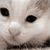 :iconkarma-: