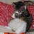 :iconkarma1144:
