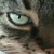 :iconkarmic-concubine: