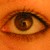 :iconkaro-katha: