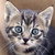 :iconkarol-dee: