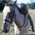 :iconkarrbear033094: