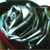 :iconkarscher: