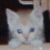 :iconkarysha: