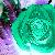 :iconkasai-megami:
