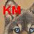 :iconkasashimaru:
