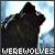 :iconkasathewolf: