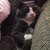 :iconkash-sellers: