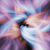 :iconkashi-kanashi: