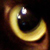 :iconkashmirkitty: