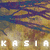 :iconkasia: