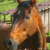 :iconkasper105: