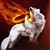 :iconkass360: