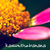 :iconkasumi-thebanana: