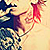 :iconkasumidark: