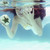 :iconkat-demesa: