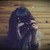 :iconkat-seye: