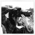 kat013 :iconkat013: