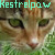 :iconkat1123: