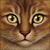 :iconkat214: