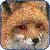 :iconkataklysmyk: