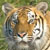 :iconkatarax44: