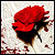 :iconkatary: