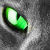:iconkatastrophick: