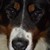 :iconkataya-holmes: