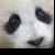 :iconkatbeach: