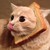 :iconkatcam007: