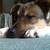 :iconkatdevil72: