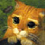 :iconkate-: