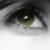 :iconkate-alprausch: