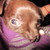 :iconkate2kitten: