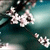 :iconkate7712: