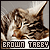 :iconkate848: