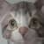 :iconkatedakokiri: