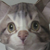 :iconkatedakokiri: