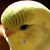 :iconkateoliver: