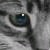 :iconkaterfisher: