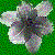 :iconkaterinalily: