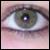 :iconkatettestock: