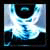 :iconkatewphotography: