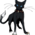 :iconkatfish2013: